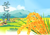 二十四节气 芒种